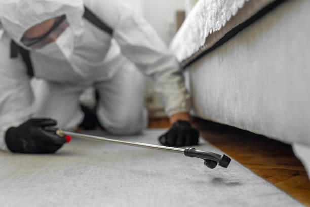 Professional Cockroach Control technician working in Hanover, IN
