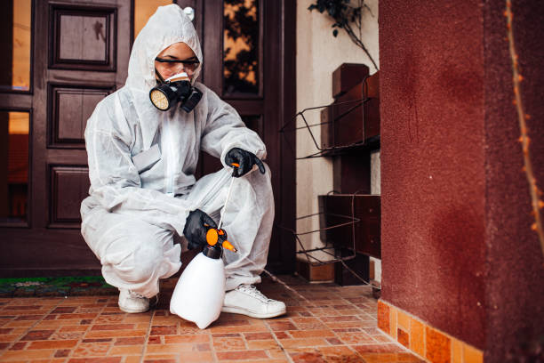 Reliable Cockroach Control contractor in Hanover, IN by Nex Pest Control